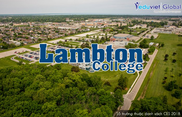 Ưu đãi “vàng” du học Canada với Lambton College