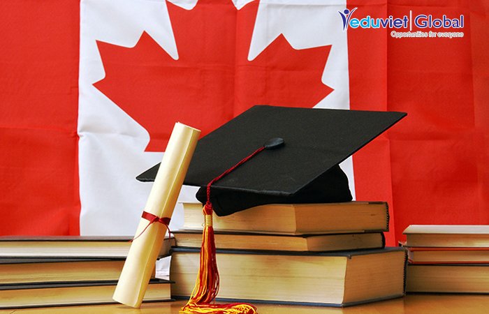 Cơ hội và thách thức của chương trình Co-op (Canada)