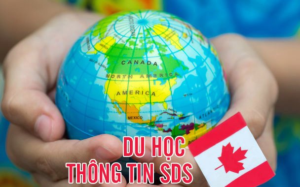 SDS và CES: Có gì khác biệt trong lộ trình đến Canada?