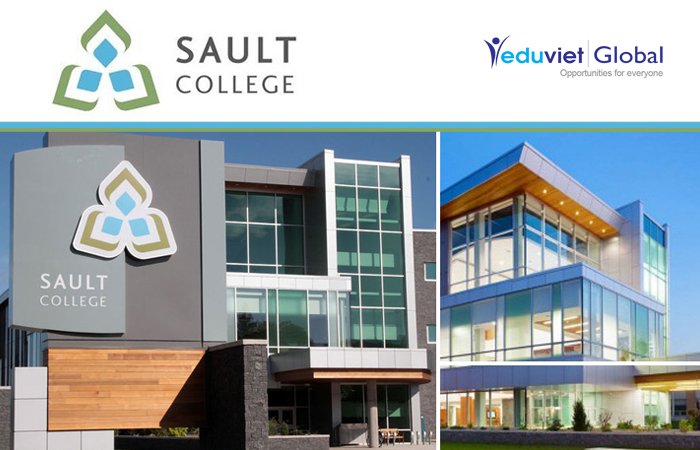 Trải nghiệm môi trường cao đẳng hàng đầu tại Sault College (Canada)