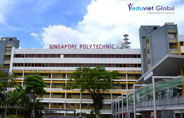 Tại sao nên học các trường Polytechnic ở Singapore?