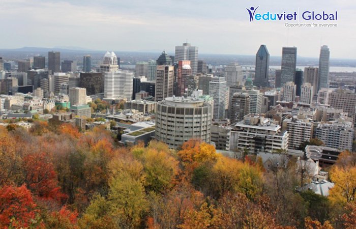 Những lý do để học tại Montreal (Canada)