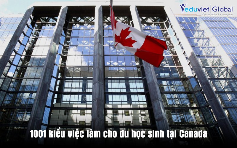 1001 kiểu việc làm cho du học sinh tại Canada