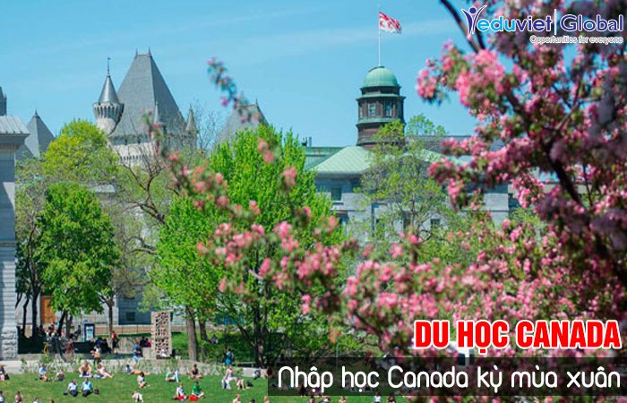 Nhập học Canada kỳ mùa xuân – tại sao không thử?