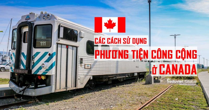 Cách sử dụng hệ thống phương tiện công cộng ở Canada