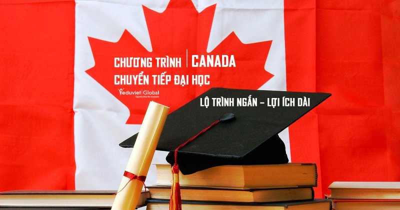 Chương trình chuyển tiếp đại học Canada: Lộ trình ngắn – Lợi ích dài