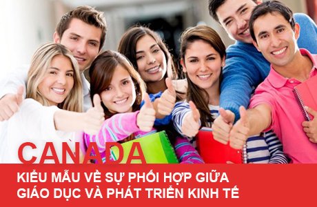 Hướng dẫn chọn chương trình học để dễ dàng làm việc và định cư tại Canada